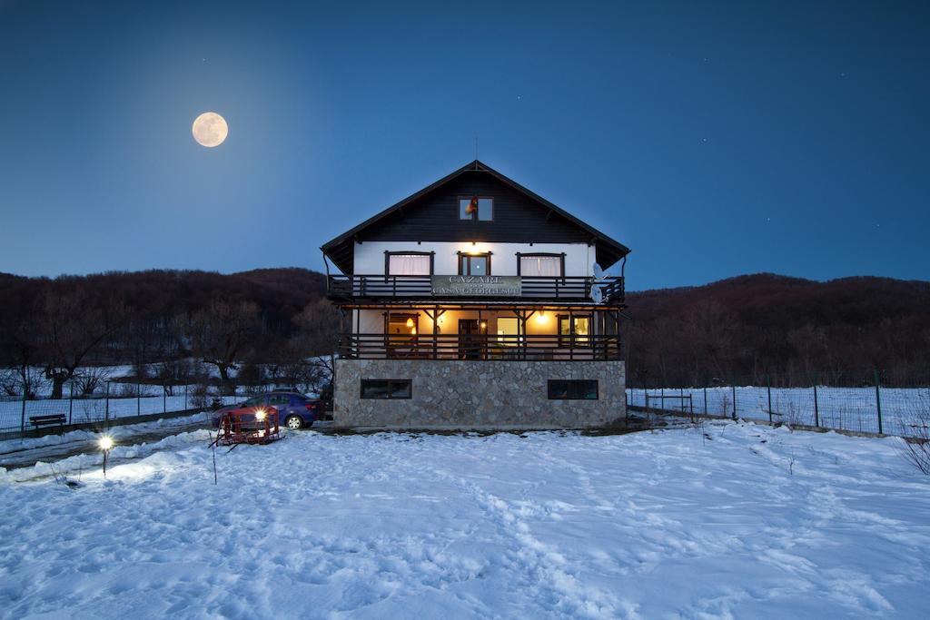 Casa Georgescu Hotell Rîşnov Eksteriør bilde